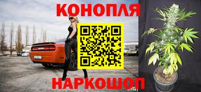 spice Малгобек