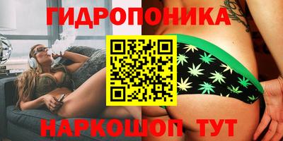 spice Малгобек