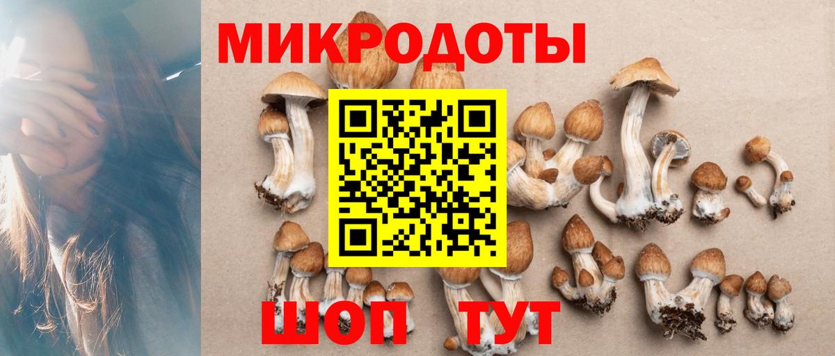 Галлюциногенные грибы ЛСД Фурманов